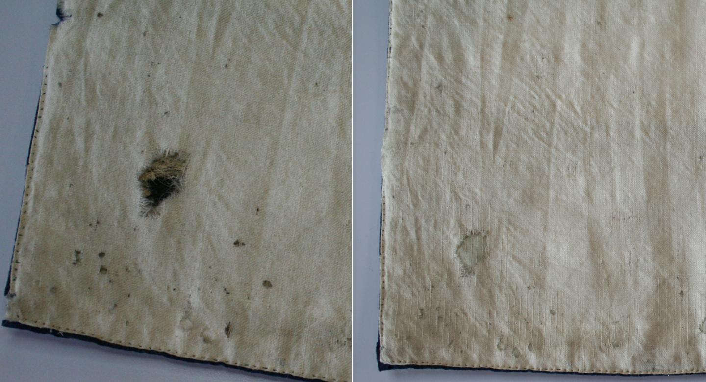 conservation before and after.jpg